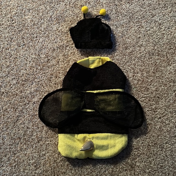 Bumble Bee Dog Halloween Costume. Size Small - Picture 1 of 5